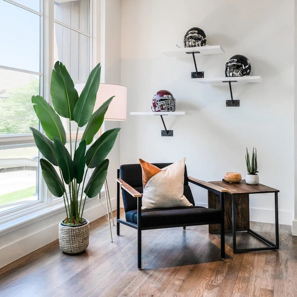 Bird-of-Paradise Plant