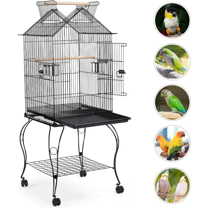 Bird Cage
Bird Cage