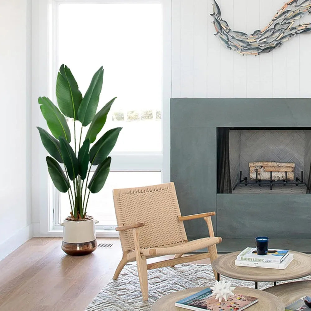 Bird-of-Paradise Plant