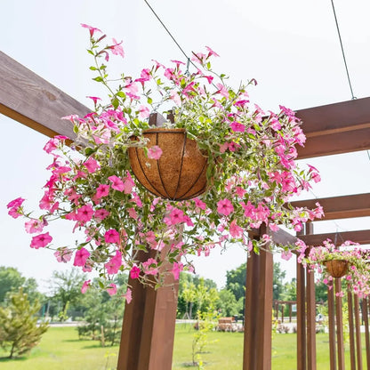 Hanging Planters