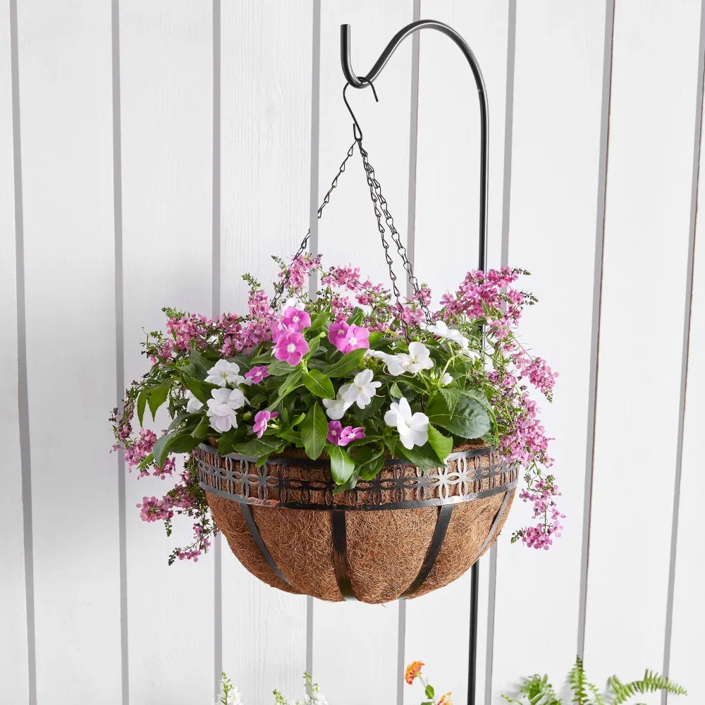 Hanging Basket