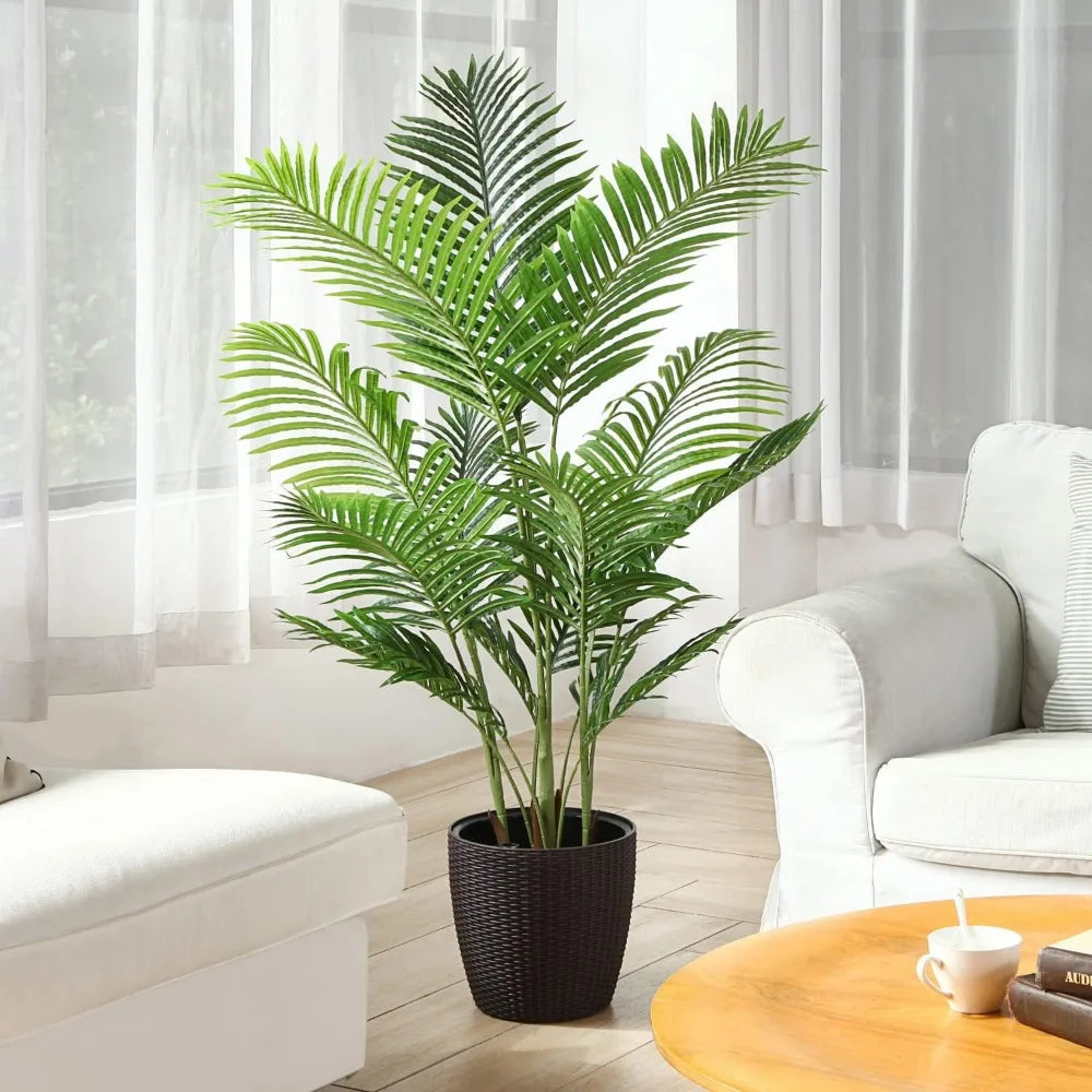 Palm Plant